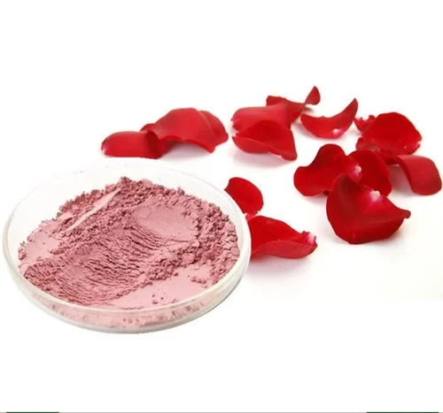 Convolvulus Pluricaulis Extract Powder