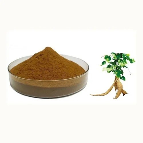 Dong Quai Angelica Sinensis Extract
