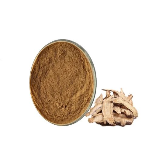Ginkgo Biloba Extract Powder