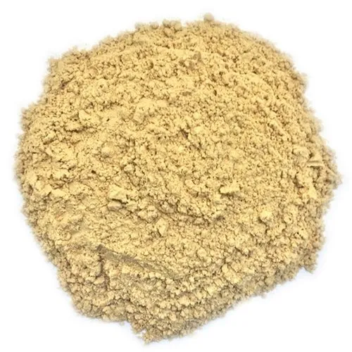 Shiitake Mushroom Extract Powder
