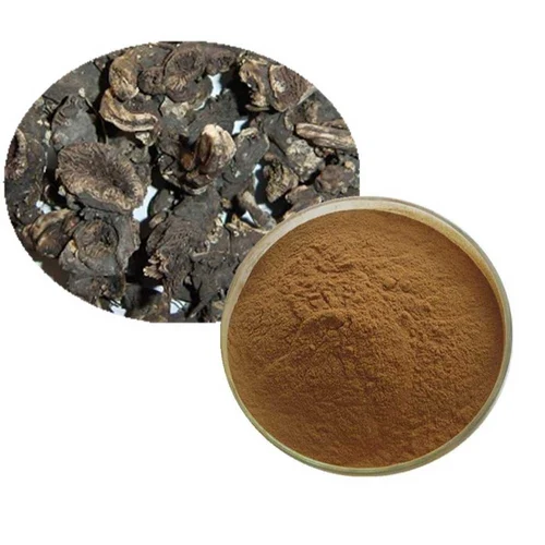 Black Cohosh Extract Powder