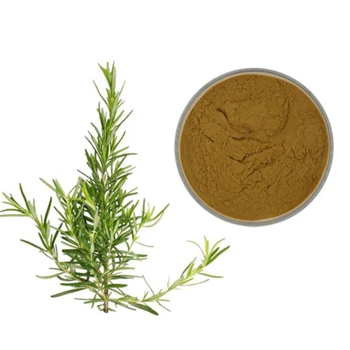 Rosemary Extract Powder