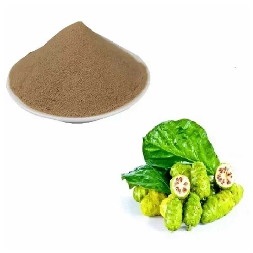 Noni Extract Powder