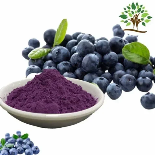 Bilberry Extract Powder