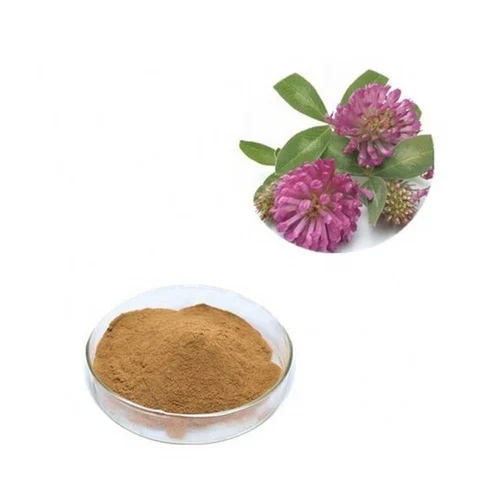 Red Clover Extract Powder