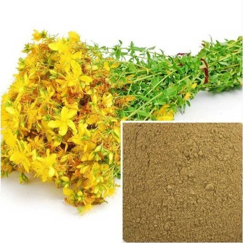 St John Wort Extract Powder