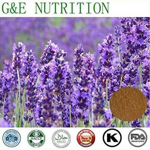 Lavender Extract Powder