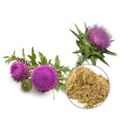 Stevia Leaf Extract Powder