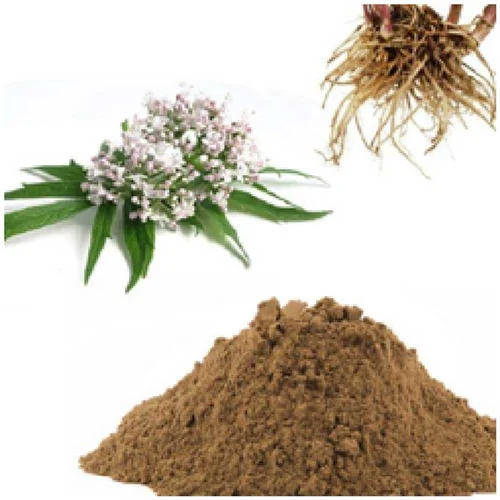 Valerian Extract Powder