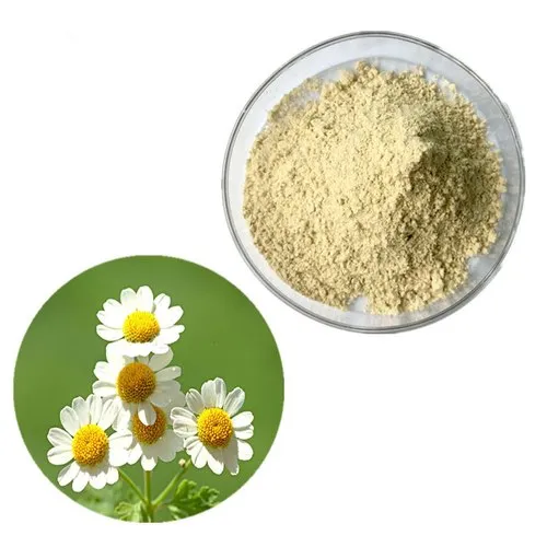 Chamomile Extract Powder