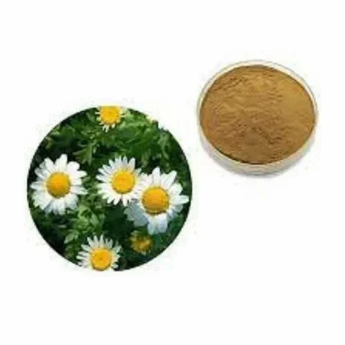 Fever Few Extract Powder