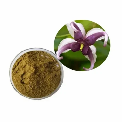 Ivy Leaf Extract Powder