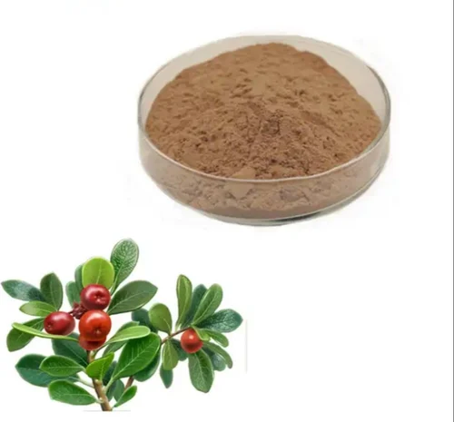 Uva Ursi Extract Powder