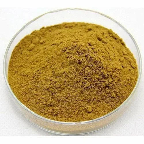 Panax Ginseng Extract Powder