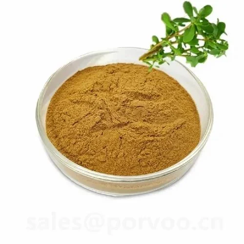 Bacopa Extract Powder