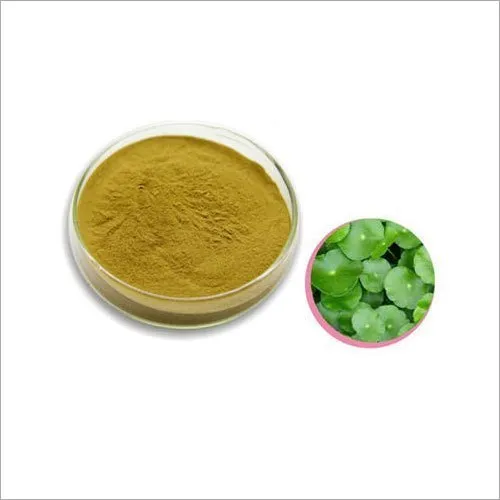 Mulberry Extract Powder