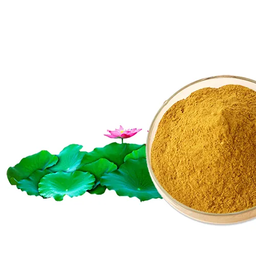 Lotus Extract Powder