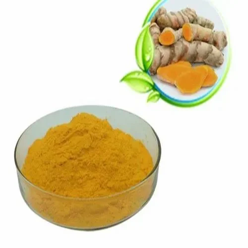 Curcuma Longa Extract Powder
