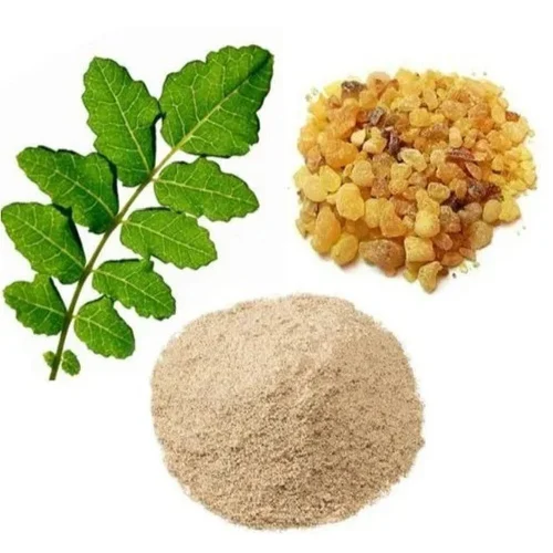 Vitex Agnus Castus Extract Powder