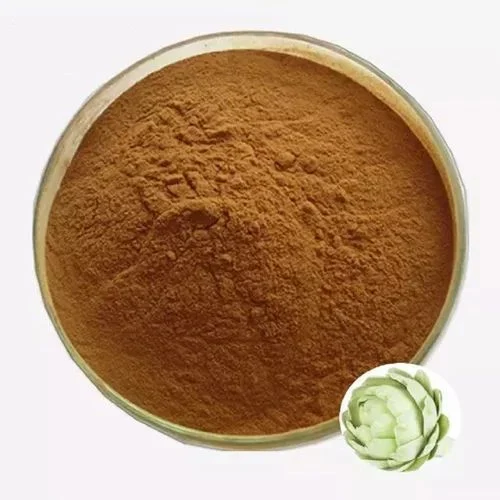 Artichoke Extract Powder