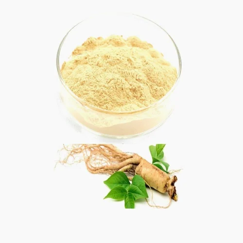 Ginseng Extract 20% Powder