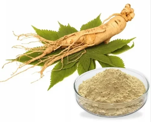 Ginseng Extract 4% Powder