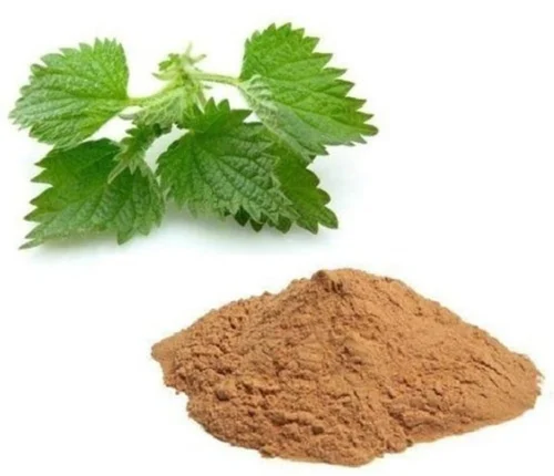 Nettle Root Extract Powder