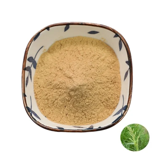 Equisetum Arvense Extract Powder