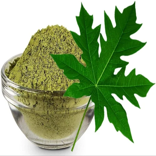 Carica Papaya Leaf Extract Powder