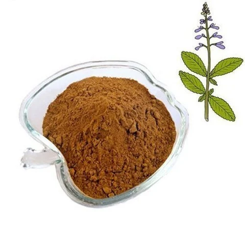 Coleus Extract Powder
