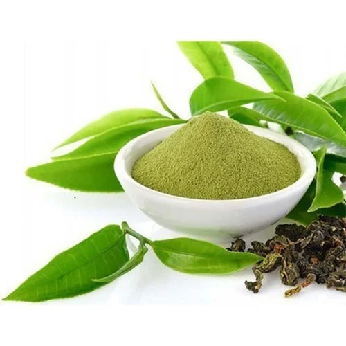 Green Tea Extract Powder