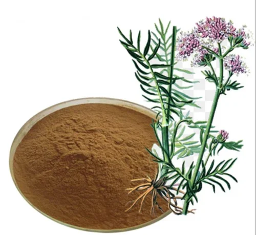 Valerian Officinalis Extract Powder