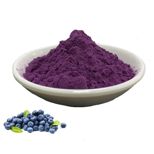 Blueberry Extract Powder