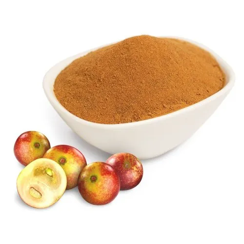 Camu Camu Extract Powder